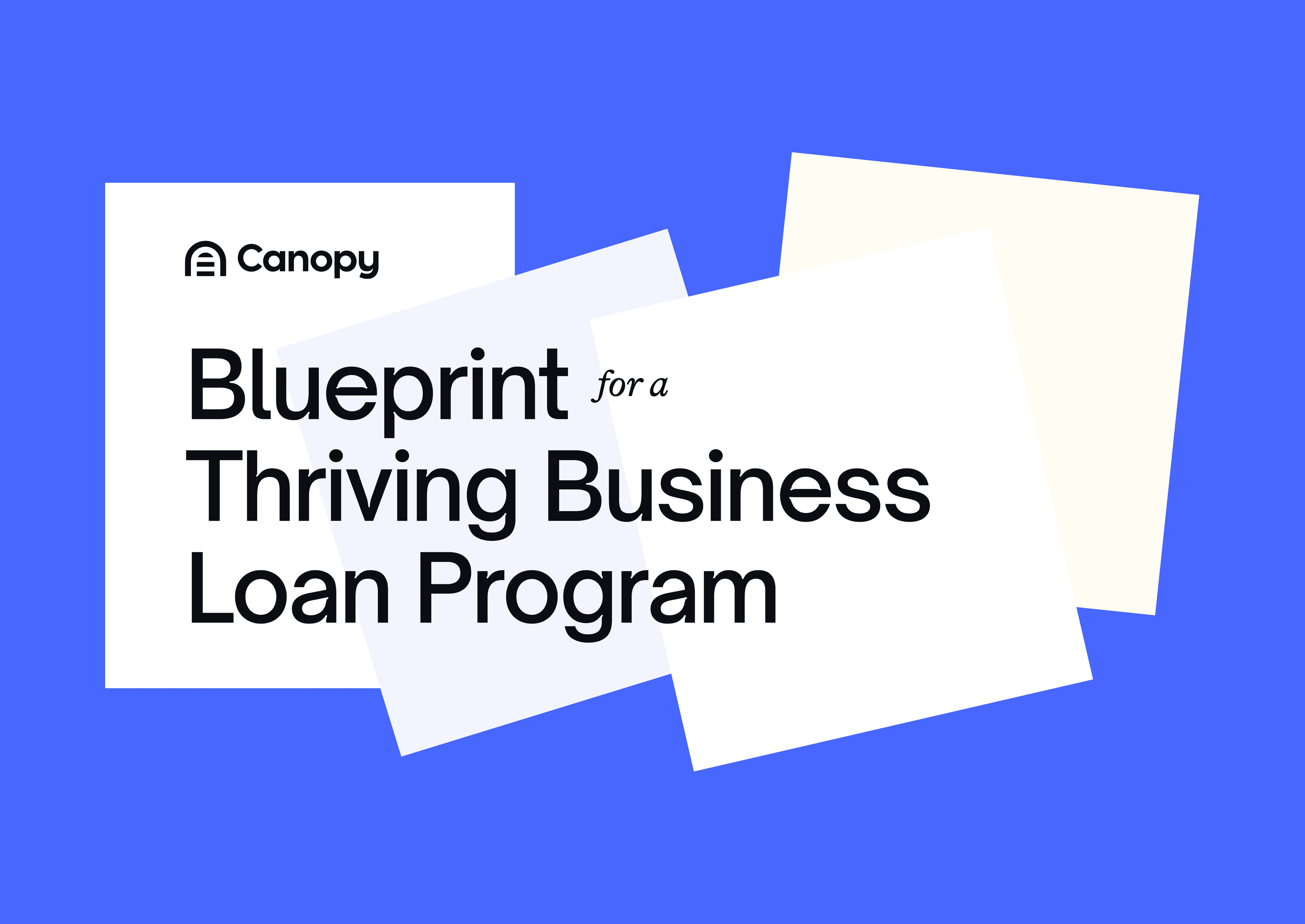 Blueprint for a Thriving Business Loan Program